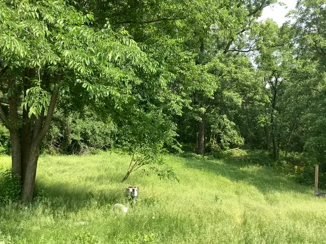 338 Willow Street, New Lenox, IL 60451 - #2