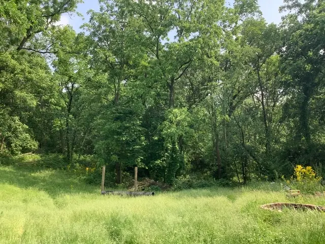 338 Willow Street, New Lenox, IL 60451 - #3