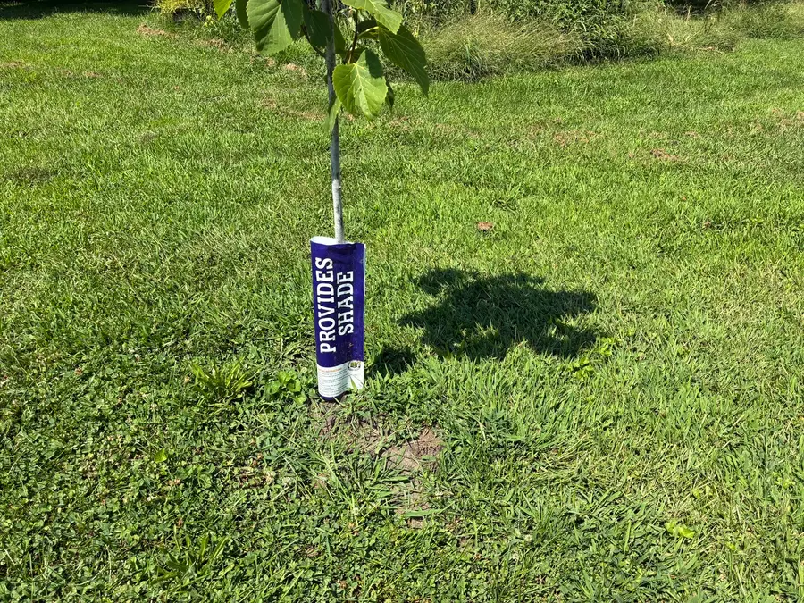 1002 Locust Street, Thomson, IL 61285 - Image #3