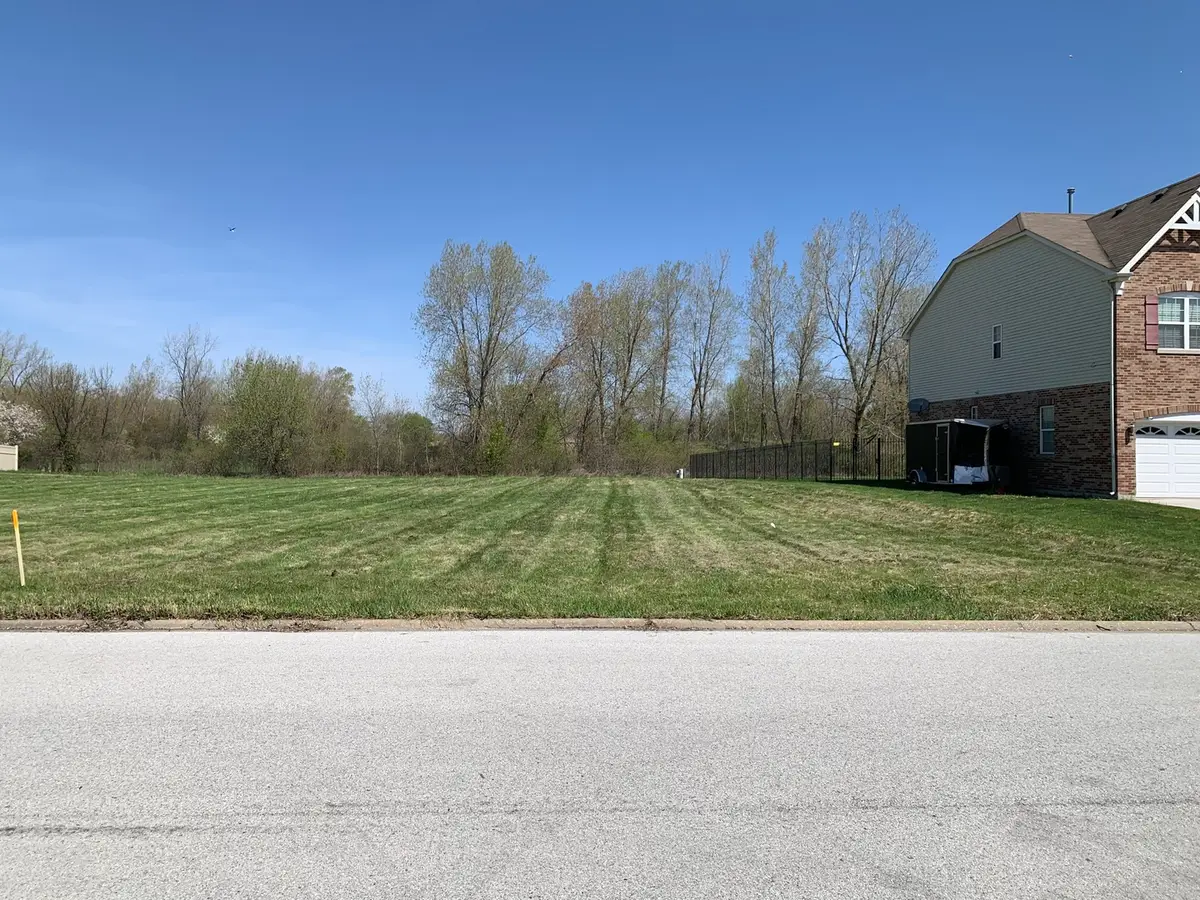 2124 Nichols Drive, Lynwood, IL 60411 - #1