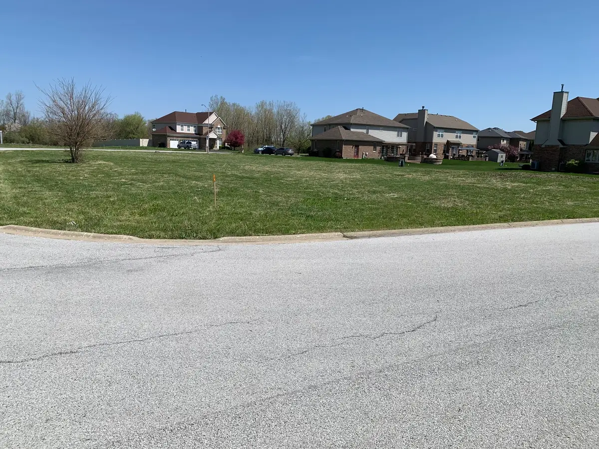 2053 Nichols Drive, Lynwood, IL 60411 - #1