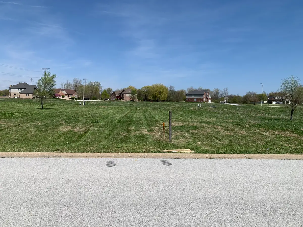 2040 Ambry Circle, Lynwood, IL 60411 - #1