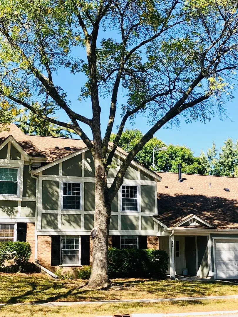 22 Waterbury Lane #N1, Schaumburg, IL 60193 - Image #1