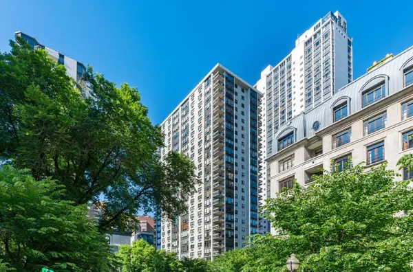 1313 N Ritchie Court #2401, Chicago, IL 60610