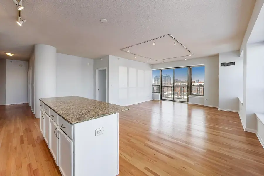 1717 S Prairie Avenue #805, Chicago, IL 60616 - Image #3