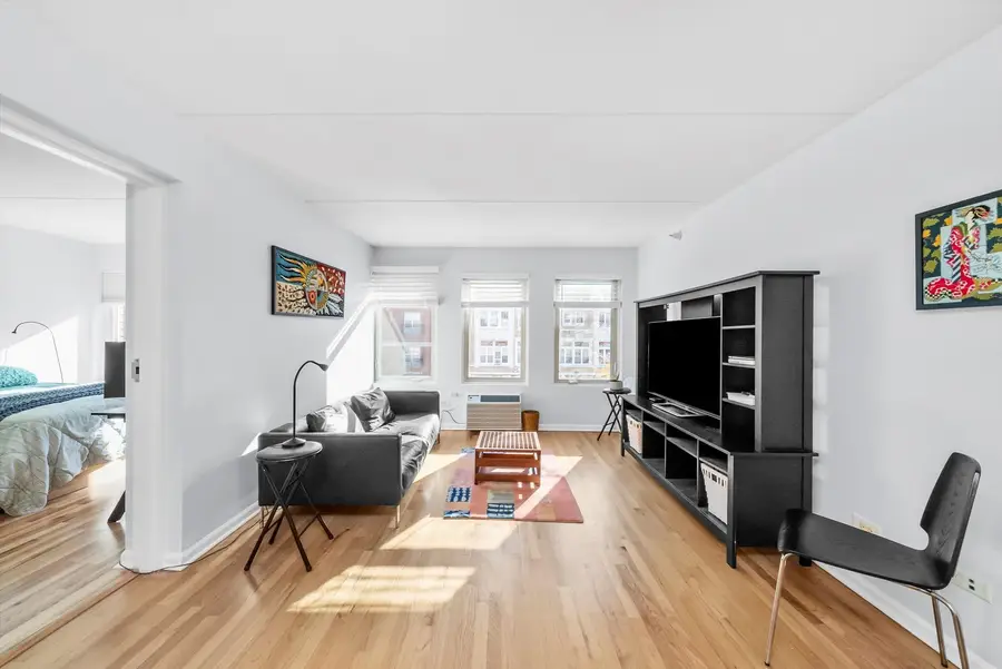 1041 Susan Collins Lane #304, Oak Park, IL 60302 - Image #3