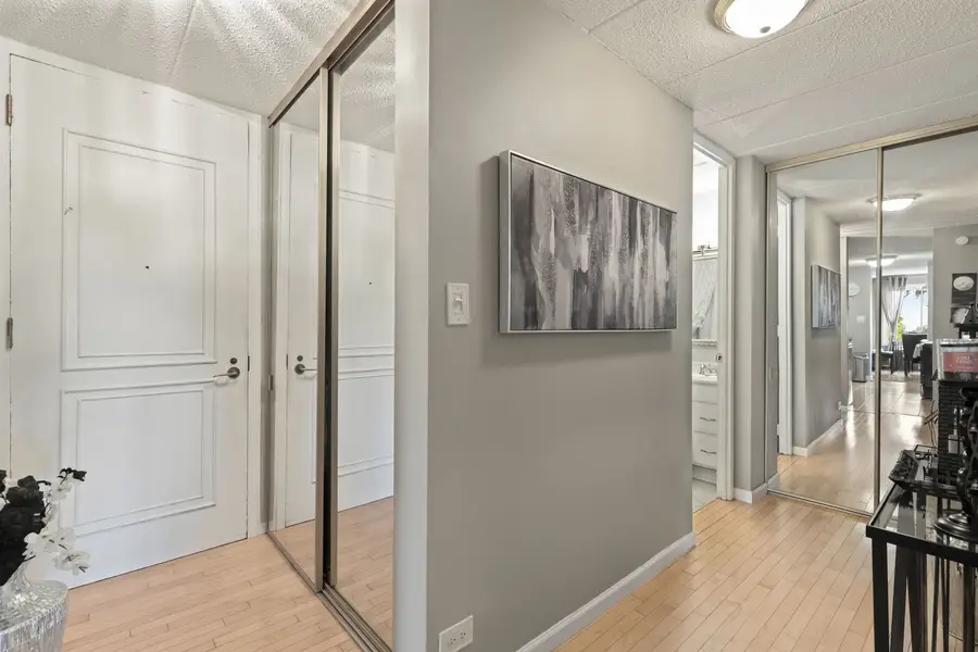 18 E Old Willow Road #210N, Prospect Heights, IL 60070 - Image #3