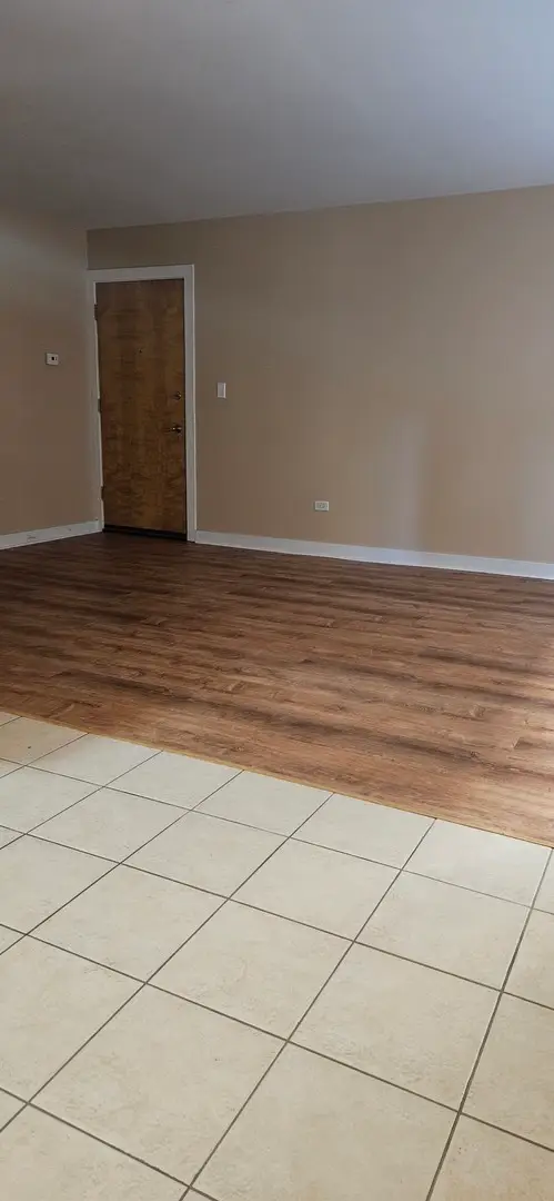 317 Wisconsin Avenue #1A, Oak Park, IL 60302 - Image #3