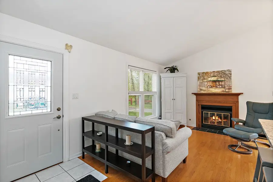 254 W Fairfield Court, Palatine, IL 60067 - Image #2