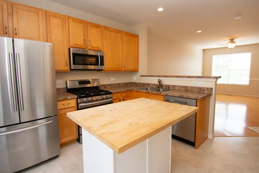 228 Station Park Circle, Grayslake, IL 60030 - Image #3