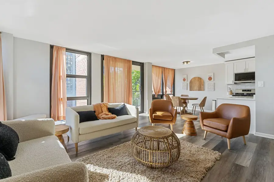 2941 S Michigan Avenue #407, Chicago, IL 60616 - Image #2