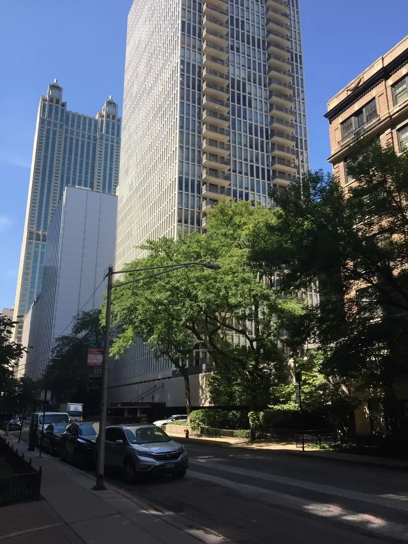 200 E Delaware Place #5D, Chicago, IL 60611 - Image #2