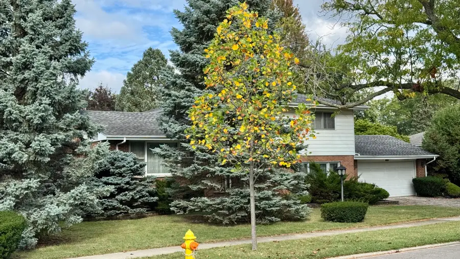 900 E Golfview Drive, Mount Prospect, IL 60056 - Image #2