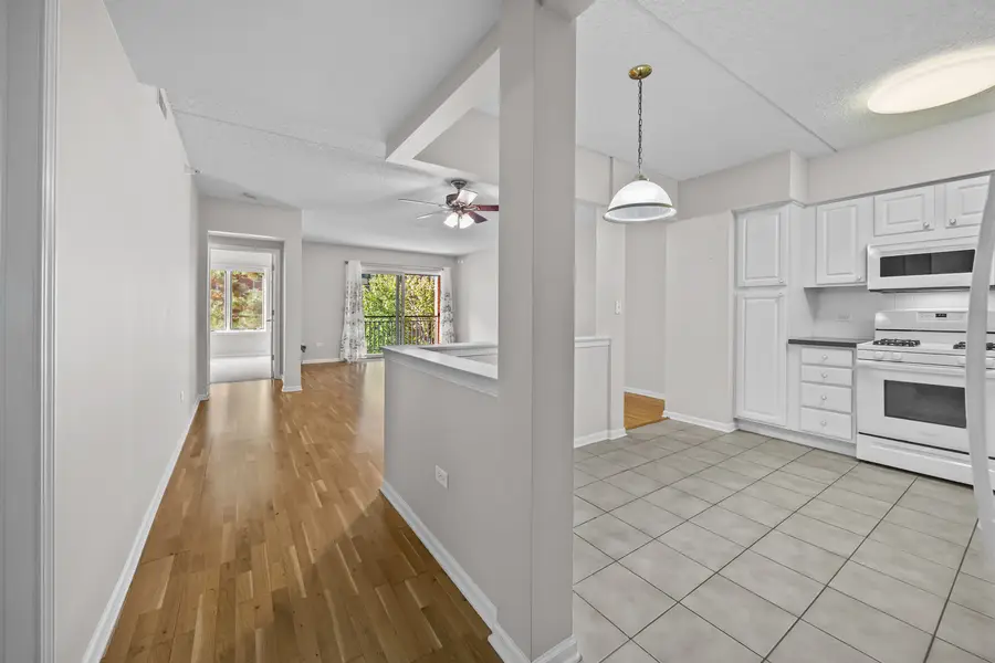 20 S Main Street #301, Mount Prospect, IL 60056 - Image #2