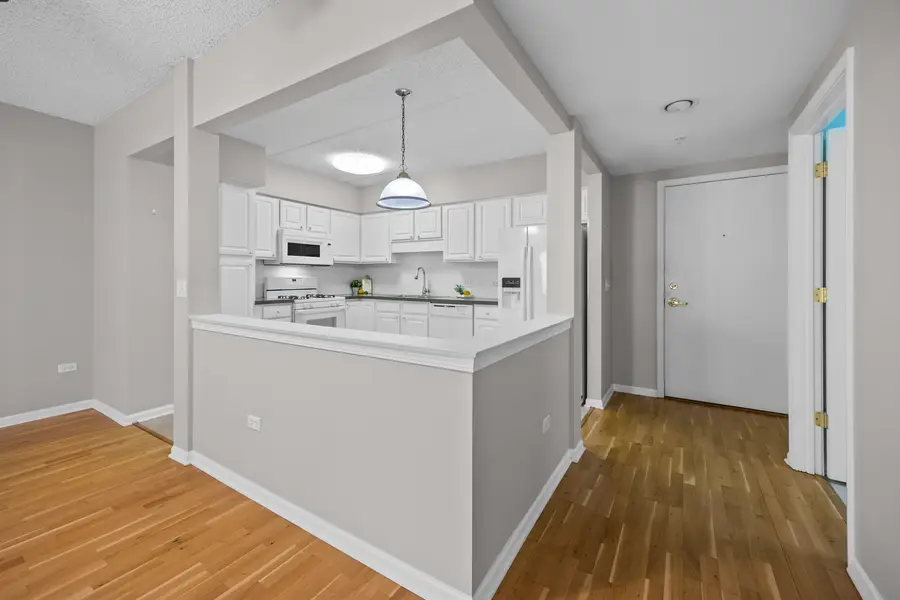 20 S Main Street #301, Mount Prospect, IL 60056 - Image #3