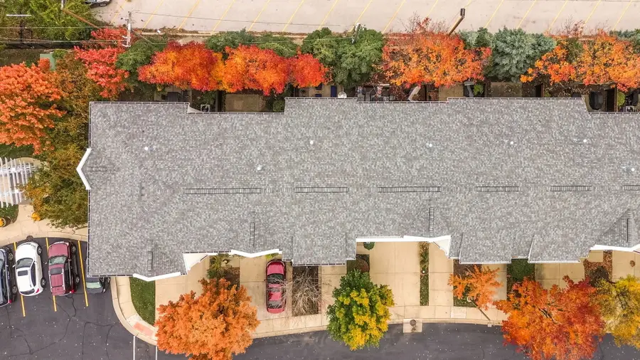 605 Grove Lane, Forest Park, IL 60130 - Image #3