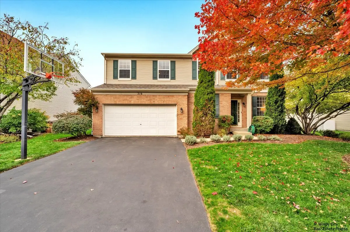 316 Gregory M Sears Drive, Gilberts, IL 60136 - Image #1