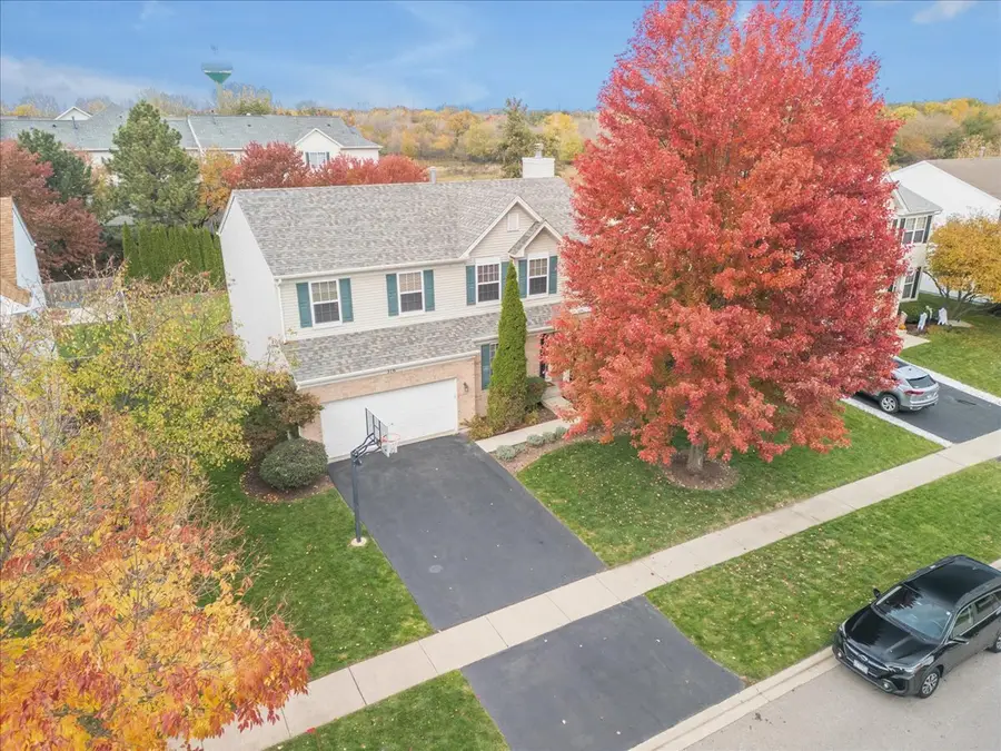 316 Gregory M Sears Drive, Gilberts, IL 60136 - Image #2