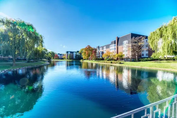 100 Lake Boulevard #603, Buffalo Grove, IL 60089