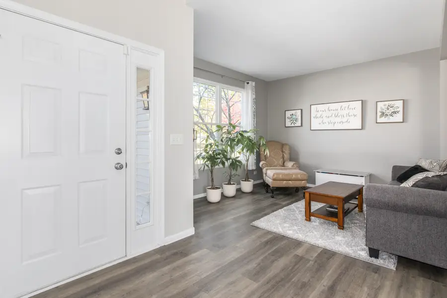 857 Great Falls Drive, Volo, IL 60073 - Image #3