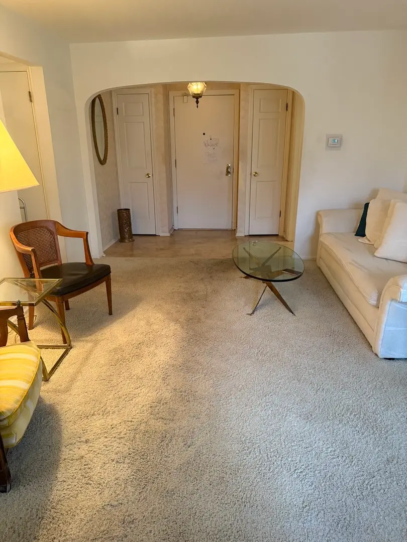 250 Lake Boulevard #218, Buffalo Grove, IL 60089 - Image #3