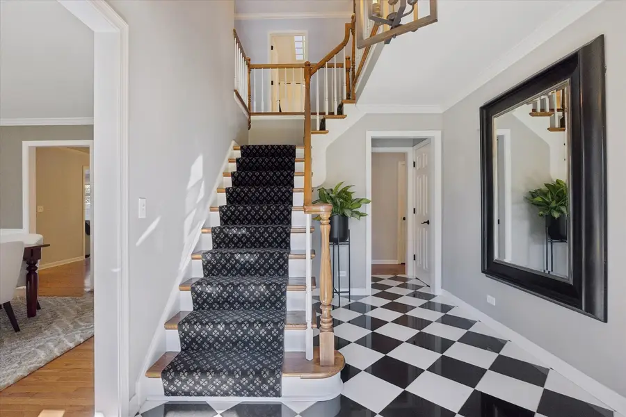 245 Meadowbrook Lane, Hinsdale, IL 60521 - Image #3