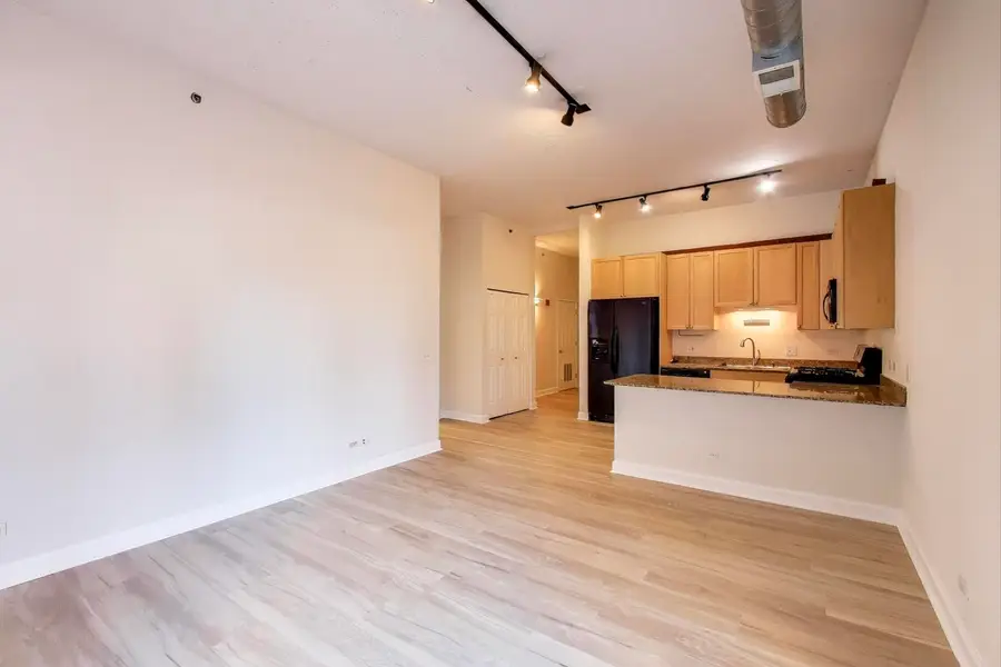 910 W Madison Street #409, Chicago, IL 60607 - Image #3