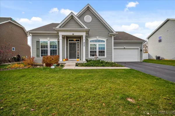 828 Mario Lane, Gilberts, IL 60136