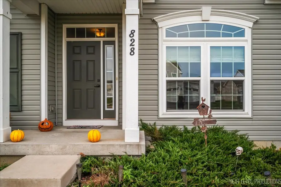 828 Mario Lane, Gilberts, IL 60136 - Image #3