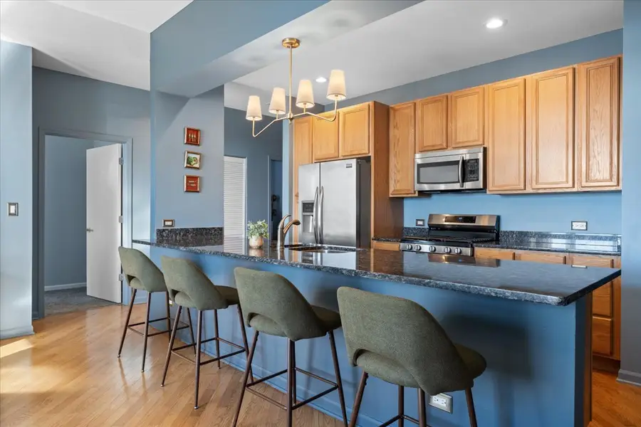 2337 W Wolfram Street #514, Chicago, IL 60618 - Image #3
