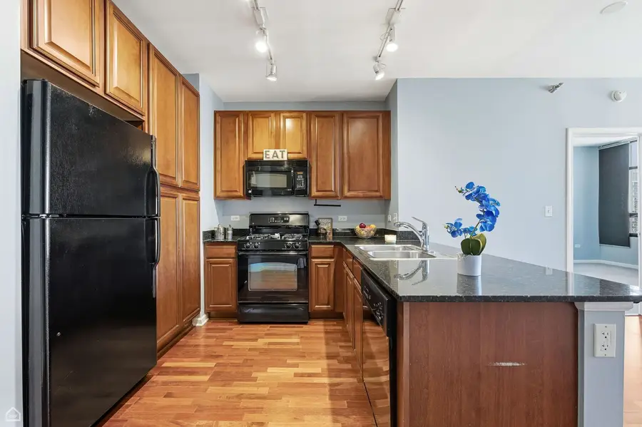 1255 S State Street #1701, Chicago, IL 60605 - Image #3