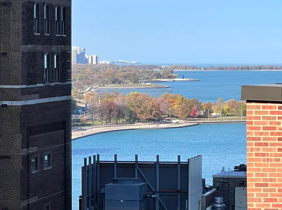 200 E Delaware Place #19A, Chicago, IL 60611 - Image #3