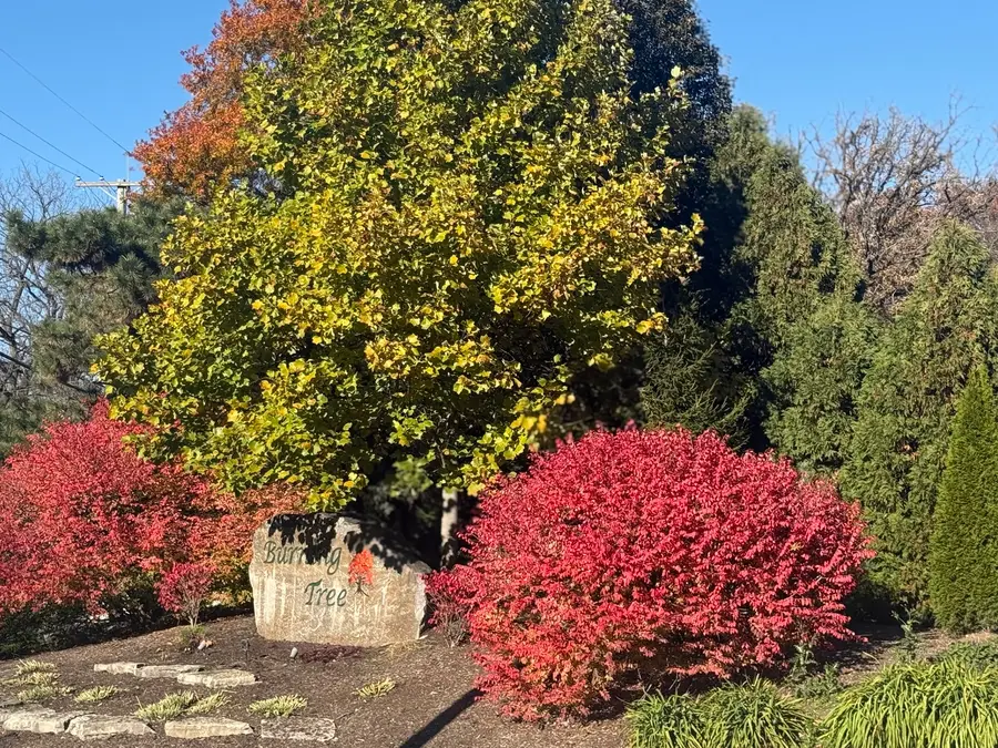 7015 Burning Tree Circle, McHenry, IL 60050 - Image #2