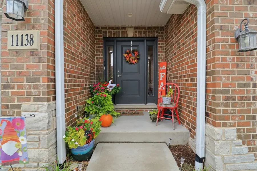 11138 Alpine Lane, Orland Park, IL 60467 - Image #3