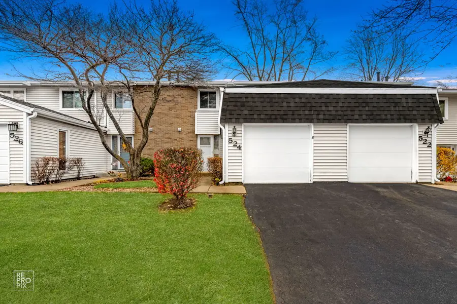 524 Jordan Way, Bolingbrook, IL 60440 - Image #2