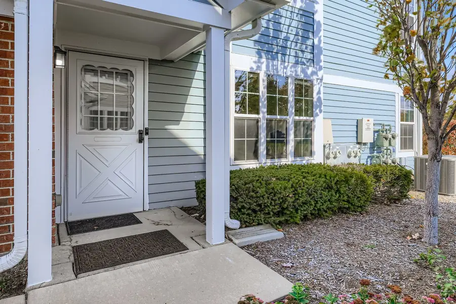 209 Westminster Court #C, Schaumburg, IL 60193 - Image #3
