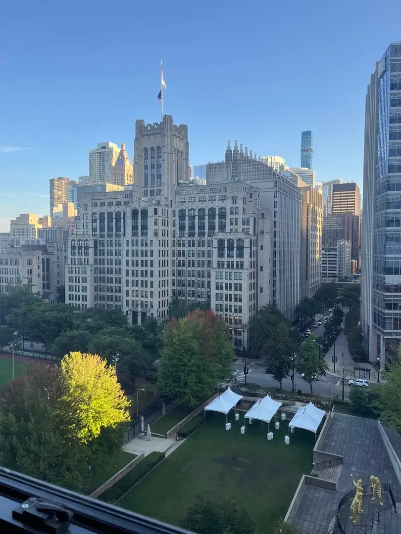 222 E Pearson Street #1406, Chicago, IL 60611 - Image #3