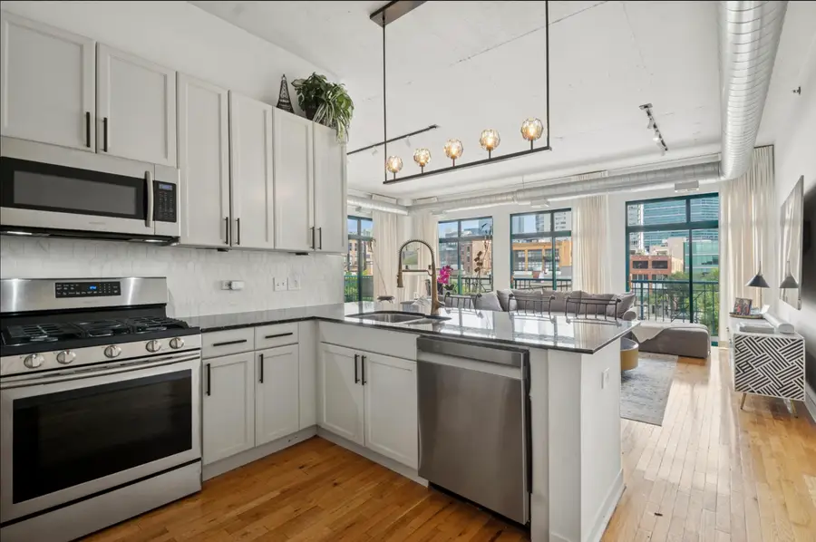 910 W Madison Street #408, Chicago, IL 60607 - Image #3