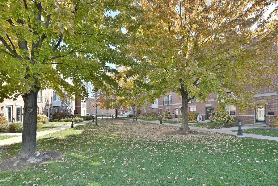 2417 N 75th Avenue #C, Elmwood Park, IL 60707 - Image #3