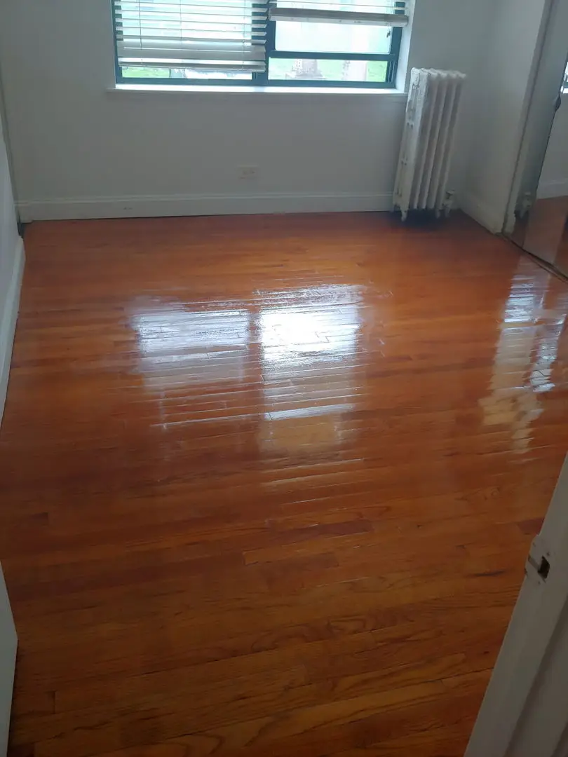 307 E 50th Street #307A, Chicago, IL 60615 - Image #3