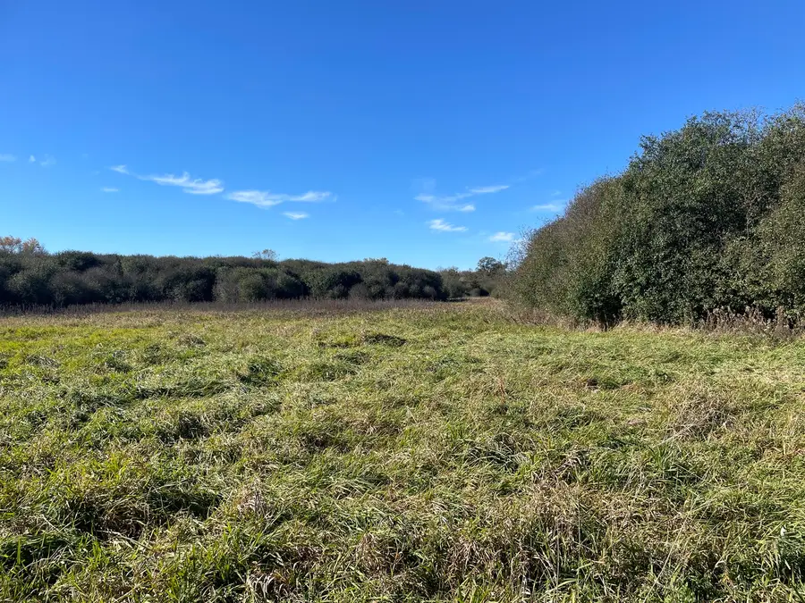 4115 S Il Route 31, Crystal Lake, IL 60012 - Image #2