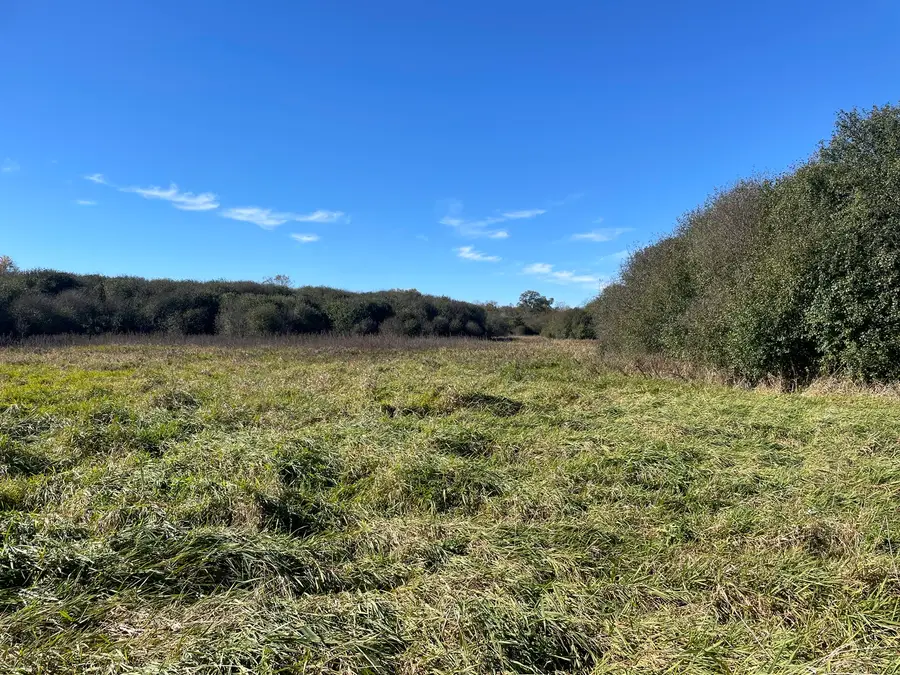 4115 S Il Route 31, Crystal Lake, IL 60012 - Image #3