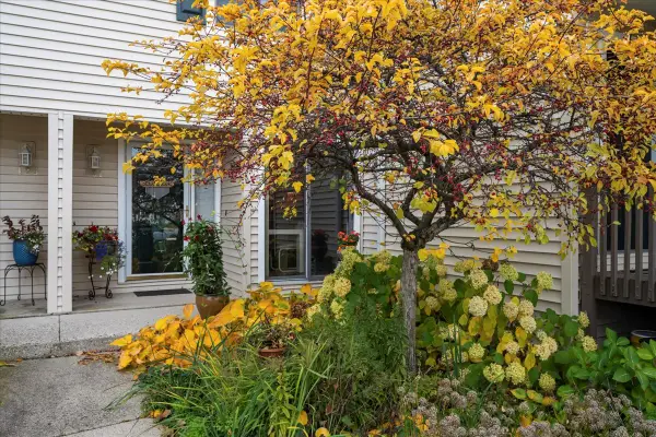 131 Autumn Court #131, Buffalo Grove, IL 60089