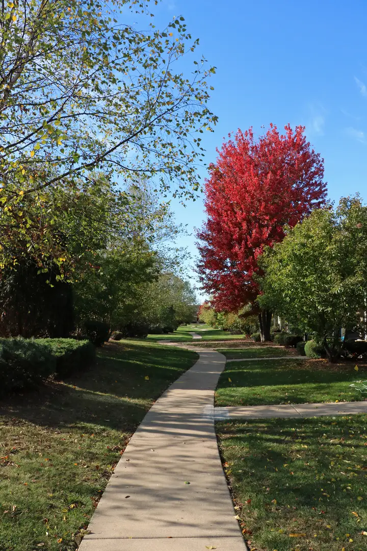 3619 Daisy Lane, Elgin, IL 60124 - Image #3