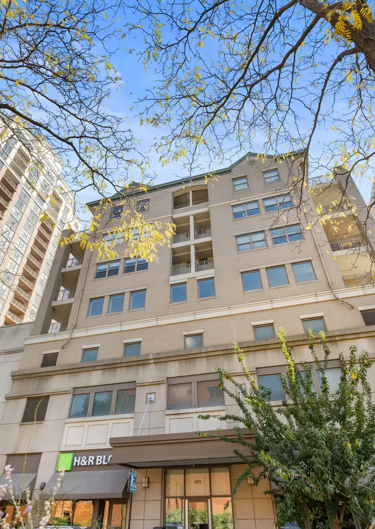 1111 S State Street #A602, Chicago, IL 60605 - Image #2