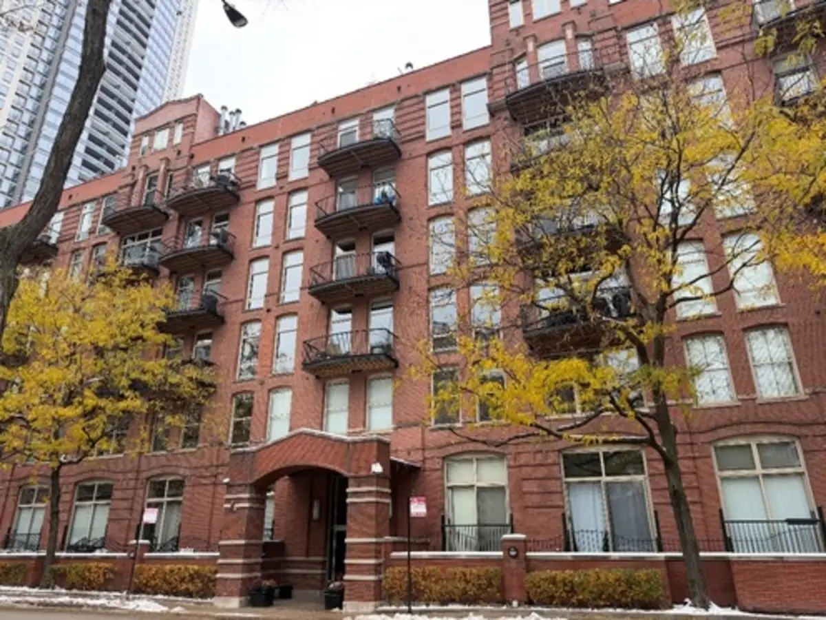 550 N Kingsbury Street #316, Chicago, IL 60654 - Image #1