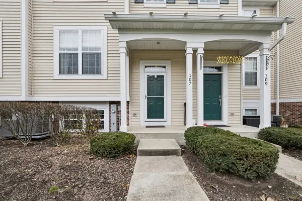 107 Terra Springs Drive, Volo, IL 60020