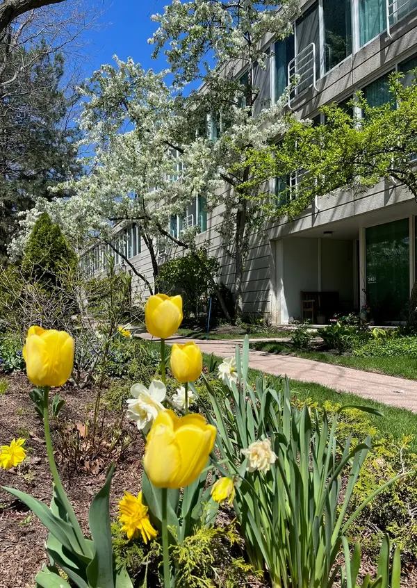 3451 Harrison Street, Evanston, IL 60201