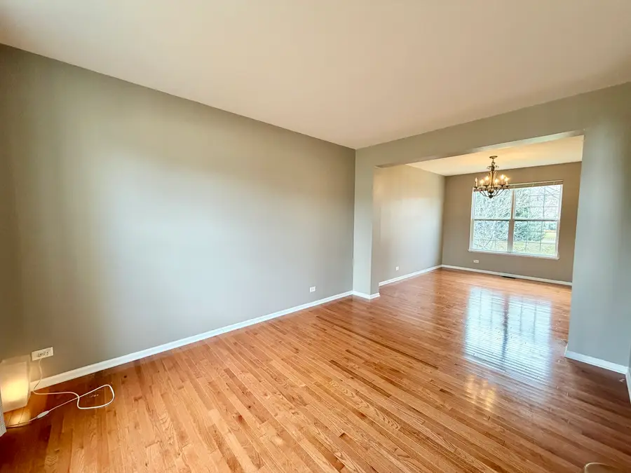 138 Redmond Drive, Gilberts, IL 60136 - Image #3