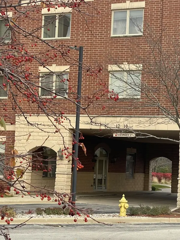 1210 N Foxdale Drive #109, Addison, IL 60101